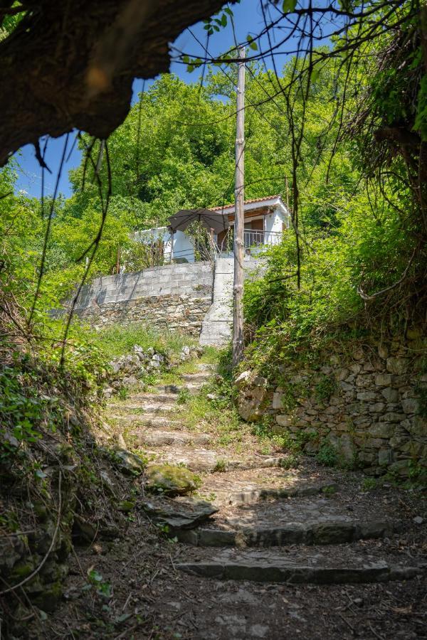 Pelion House With Stunning View To Relax Villa Vyzitsa Exteriör bild